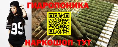 гашик Ликино-Дулёво
