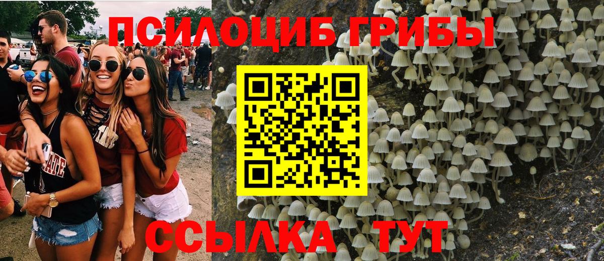 Чайковский  Галлюциногенные грибы мицелий  Галлюциногенные грибы Magic Shrooms  что такое   Вход с VPN 